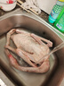 归隐（GUIYIN） 农家散养大白鹅大鹅 嫩鹅 杀后5-6斤 土鹅肉 新鲜现杀鹅肉 实拍图