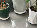 漫生活花托移动花盆托盘花盆托底盘外径250内径223mm移动底盘花盆底座白 实拍图
