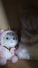赟娅可爱猫咪玩偶睡觉抱公仔床上小猫仿真礼物变身猫咪女友朋友生日礼 礼袋装+变身独角兽喵喵-30厘米 圣诞新年礼物女生日礼物女孩女朋友节日礼物 实拍图