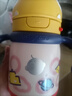 babycare儿童保温杯婴儿宝宝吸管水杯霸王龙不锈钢保温杯300ml-新旧款混发 实拍图