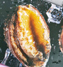 金唐鲜冻鲍鱼净重300g 10粒盒装带壳鲍鱼肉 贝类海鲜生鲜火锅烧食材 实拍图