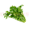  大芹菜约400g 实拍图
