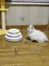 all for paws轨道蝴蝶飞飞(充电款) 自动逗猫玩具逗猫棒 猫咪玩具 自动旋转 实拍图