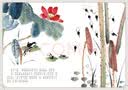 上海美影经典故事 小蝌蚪找妈妈 中国动画 儿童绘本 拼音助读 中国传统文化 正版童书   省钱卡 实拍图