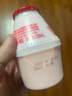 宾格瑞 草莓牛奶238ml 实拍图