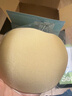 FitonTon胸贴女内衣聚拢隐形胸贴无痕防走光防凸点乳贴轻薄透气婚纱文胸贴 实拍图