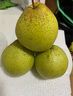 远达（YUANDA）赵县正宗雪花梨冰糖雪梨新鲜水果梨子大果整箱熬汤特产 雪花梨净重2.5斤 实拍图