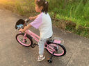 永久（FOREVER）儿童自行车3-6-10-12岁儿童单车男孩童车女童自行车 樱花粉 辐条轮 后座版 18寸【适合身高120-145】 实拍图