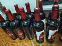 奥兰小红帽红酒陈酿干红葡萄酒750ml*6整箱（N1）热红酒 西班牙进口 实拍图