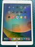 Apple苹果 iPad Air1/Air2/Air3 迷你mini2/4/5 二手平板电脑ipad iPad2019 32G WiFi版 9成新 实拍图