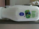 三元 极致有机鲜牛奶240ml*6瓶 巴氏杀菌 定期购鲜奶 3.8g蛋白质 实拍图