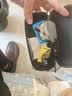 托芙墨镜男士开车专用眼镜变色日夜两用防紫外线偏光太阳镜驾驶钓鱼 3638A黑框变色 实拍图