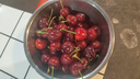 阿嬷森果智利进口车厘子樱桃礼盒装【JD速运-可送货上门】大樱桃送礼水果 5斤(净重) 【高端礼盒-保温箱】  巨无霸3J 单果30-32mm 实拍图