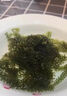 爱尚港新鲜盐渍海葡萄即食品儿童海带海藻草凉拌菜鱼子酱火锅寿司商家用 铝膜包装600g+12种蘸料 实拍图
