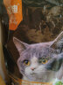 亿迪猫粮10斤幼猫成猫老年全价全阶段蓝猫英短通用粮5kg大包装5公斤 实拍图
