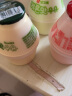 宾格瑞哈密瓜牛奶238ml 韩国进口坛子奶 儿童学生奶 低温奶（2件起售） 实拍图