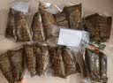 禾滋齋粽子礼盒装嘉兴粽子礼盒肉粽子端午节礼盒送礼品特产企业团购定制 万里山河-8大粽-4荤4素920g 实拍图