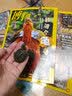博物 2022年增刊 身边花草图鉴【博物君】 中国国家地理青春少年版 博物君式科普百科期刊 京东自营 实拍图