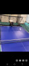 速智（Suz）S102乒乓球发球机单人自动专业发球器家用便携训练器多旋转多落点 s102主机+无线遥控+集球网+100球 实拍图