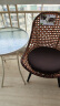 紫叶（ziye） 阳台休闲椅现代简约小户型客厅露台藤编单人沙发椅组合 1【沙发椅】含坐垫 晒单实拍图