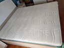 富安娜床垫 山棕椰棕床垫硬 乳胶床垫 三重防螨抑菌榻榻米床垫 山棕+乳胶-8cm厚 180*200 实拍图
