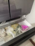 海信（Hisense）法式冰箱四开门家用电冰箱一级能效无霜525L全空间净化双变频BCD-525WNK1PU双系统双循环 晒单实拍图