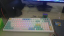 腹灵FL980V2Pro 有线/蓝牙/2.4G三模客制化机械键盘gasket结构正刻侧刻键帽热插拔蓝牙键盘无线键盘 FL980V2Pro 海盐侧刻 蓝莓冰淇淋轴 实拍图