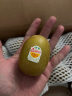 佳沛（zespri）新西兰阳光金奇异果16粒礼盒经典果单果约80-103g水果 猕猴桃 实拍图