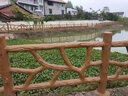 水泥仿木护栏池塘河道仿藤护栏农村混凝土栏杆景观园林仿树纹围栏 咨询定制 实拍图