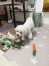 华元宠具(hoopet)狗狗玩具磨牙耐咬毛绒玩具泰迪小型犬大型犬幼犬宠物用品 发声恐龙(藏青) S 实拍图