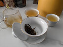 益工坊（YIGONGFANG）福臻系列茶具 高温白瓷 福臻品茗杯 实拍图
