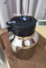 特美刻（TOMIC）焖茶壶男泡茶保温壶纯钛养生高档办公居家用茶壶1.5L智能 晒单实拍图