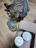 养只宠物猫罐头主食罐170g*8罐幼猫成猫咪专用零食增肥营养湿粮整箱 纯金枪鱼/8罐 170g 实拍图