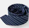 HLA海澜之家领带男24时尚色织箭头形条纹商务绅士有型领带男  晒单实拍图