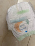 佳婴氧气森林夜用拉拉裤XXXL码28片婴儿尿不湿男女宝宝透气成长裤【品牌直供 安心品质】 实拍图