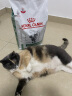 皇家处方猫粮SAT34减肥成猫猫粮体重管理皇家猫粮猫咪肥胖全价处方猫粮 3.5kg 晒单实拍图