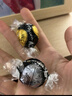 瑞士莲巧克力进口软心巧克力零食生日礼物伴手礼情人节礼物 软心精选巧克力200g效期至10.31 实拍图