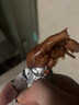 鸭子飞了 龙岩泡鸭爪鸭翅香辣卤味鸭脚零食小吃办公室休闲食品酸辣泡鸭掌 鸭翅10包（经典版） 实拍图
