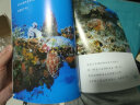 生命的故事番外：藏起来了（虫儿们、鱼儿们）（套装共2册）3-6岁儿童科普绘本昆虫动物百科全书(中国环境标志 绿色印刷) 实拍图