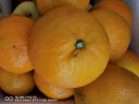 泰汇吃沃柑 新鲜高山橘子时令水果桔子应季整箱水果带箱 3斤体验装【小小果】 实拍图