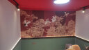 西里尔（CLIER）中国风金色线描墙布故宫红背景墙纸中式红色意境山水阁楼建筑壁画 无缝防水油画布/平 晒单实拍图