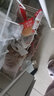友臣（YOUCHEN） 金丝肉松饼500g 整箱零食糕点小吃营养早餐下午茶 经典原味肉松饼-散装500g 实拍图