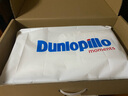 邓禄普（Dunlopillo） 【店长推荐】斯里兰卡进口天然乳胶枕头人体工学橡胶枕头颈椎 ECO按摩低波浪枕 斯里兰卡进口 实拍图
