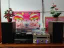 SPENDOR思奔达（Spendor）Classic 2/3英国思奔达音响发烧HiFi书架箱无源音箱家用高保真音箱原装进口音箱 Classic 2/3 胡桃木色 实拍图