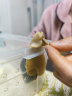 卓盛花卉 白玉蜗牛活体学生科学实验观察宠物美容观赏喂养工具全程指导 蜗牛饲料100克 实拍图