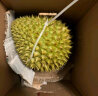京鲜生越南进口干尧榴莲 2-2.5kg 1个装 2024年 新鲜水果 实拍图