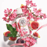 香邂格蕾（ROGER＆GALLET）法国香水女士30ml无花果红姜香味情人节生日礼物送女友 玫瑰 30ml-26年7月到期 实拍图