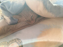 猫乐适猫咪泌尿道处方粮猫粮TS4尿道结石膀胱炎症尿闭尿血减少结石 TS6情绪泌尿处方猫粮1.5kg【针对猫咪尿闭】 实拍图