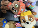 汪汪队立大功（PAW PATROL）汪汪队玩具毛绒全套狗狗玩偶公仔男女孩玩具旺旺队圣诞礼物 7只经典款-小号毛绒 小号-坐高约15.2CM 实拍图