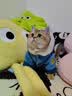 迪士尼朱迪猫狗通用秋冬款小狗泰迪中小型犬比熊柯基宠物冬季保暖猫衣服 实拍图